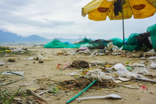 Ảnh: Bãi biển Đà Nẵng ngập rác sau bão số 5