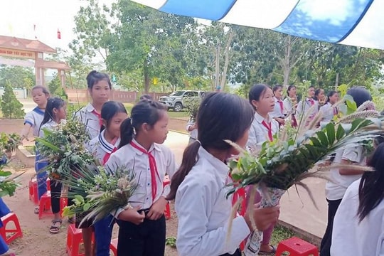 Ảnh: Học sinh miền núi Quảng Trị hái hoa rừng tri ân thầy cô ngày 20/11