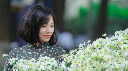 Ảnh: Xốn xang cúc họa mi đón đông khắp phố phường Hà Nội