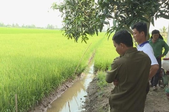 Bẫy chuột bằng điện, một người đàn ông bị điện giật tử vong