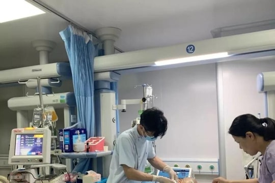 Cậu bé 9 tuổi hôn mê sâu sau khi ăn cá nóc