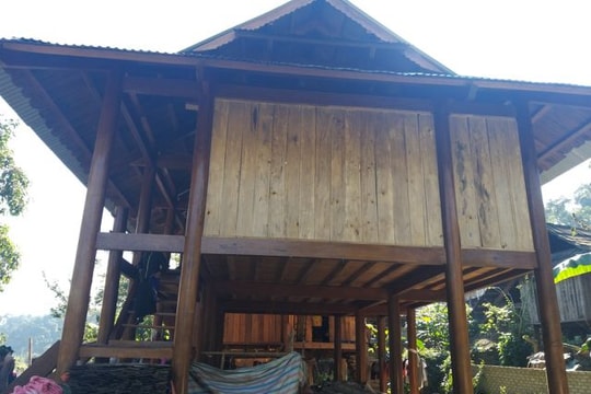 Vào rừng hái quả, người đàn ông bất ngờ bị trúng đạn tử vong