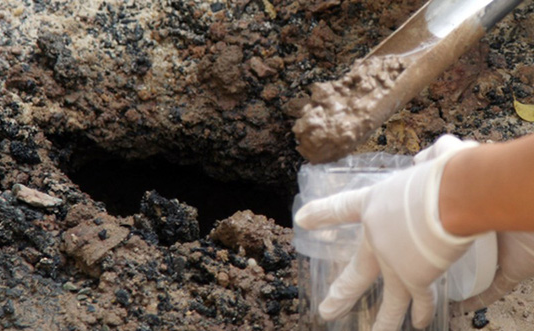 Phát hiện 1 mẫu đất có khuẩn Whitmore tại gia đình có 3 trẻ tử vong tại Hà Nội