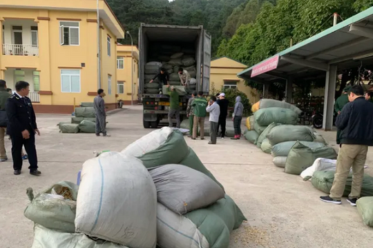 Bắt giữ 3 đối tượng buôn lậu hàng trăm tấn dược liệu