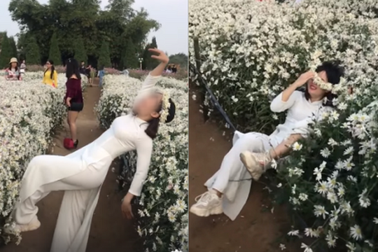 Hình ảnh cô gái ngã nhào lên luống cúc họa mi vì mải mê tạo dáng gây tranh cãi