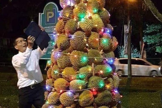 Hình ảnh cây thông Noel "độc nhất vô nhị" khiến dân mạng tranh cãi kịch liệt