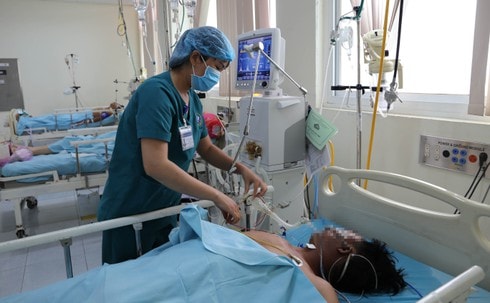 Vụ 6 người nhập viện do ngộ độc cá nóc ở Quảng Ngãi: 1 người đã tử vong