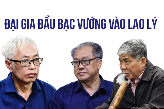 Tuổi già, liệt giường không thoát lao lý, đại gia đầu bạc đau đời 2019