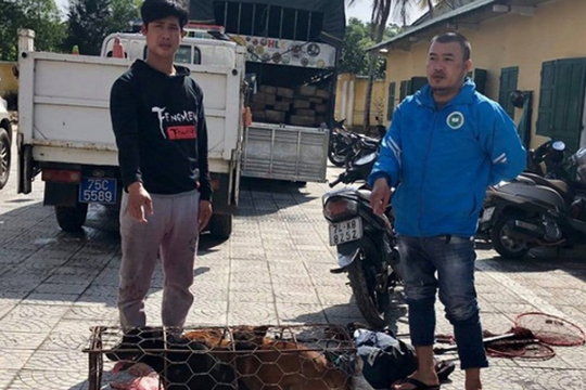 Chủ quán thịt chó đi xe biển giả, dùng bình xịt hơi cay để câu trộm chó mèo