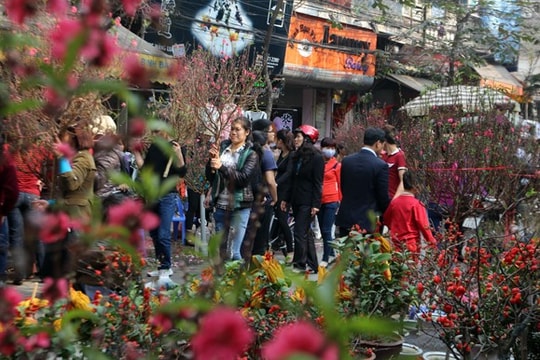 Từ ngày mai 9/1, Hà Nội cấm đường một loạt tuyến phố để tổ chức chợ Hoa Xuân