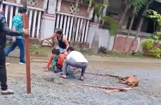 Kinh hoàng chó Pitbull tuột xích, hung tợn cắn xé người đi đường