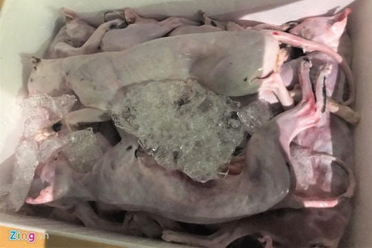 Phát hiện hơn 600 kg thịt mèo bốc mùi hôi thối trên xe giường nằm