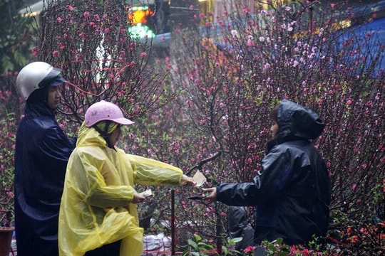 Miền Bắc và Bắc miền Trung đón Tết Nguyên đán trong mưa, rét