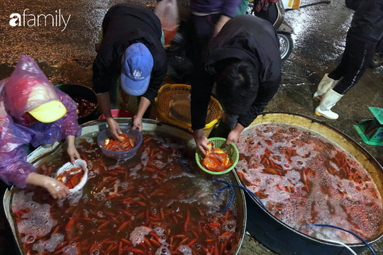 Ngày ông Công ông Táo, chợ cá lớn nhất Hà Nội cháy hàng cá chép từ rạng sáng