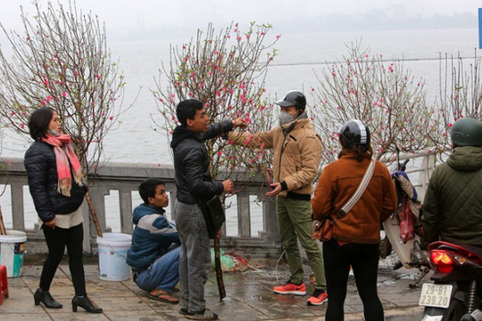 Ảnh: Sôi động chợ hoa Tết lớn nhất Hà Nội