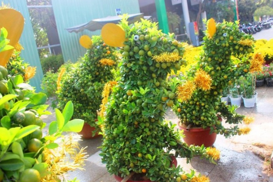 Độc đáo quất bonsai hình chuột, quả chi chít phục vụ Tết Canh Tý 2020