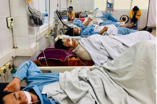 1 người mất mạng, 7 người ngộ độc do ăn trứng cóc