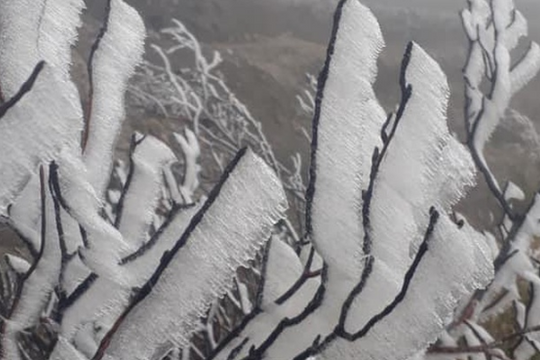 Ảnh: Băng tuyết phủ trắng "Nóc nhà Việt Nam" Fansipan