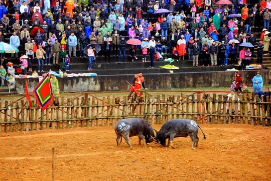 Tạm ngưng tổ chức nhiều lễ hội để phòng ngừa lây nhiễm virus Corona
