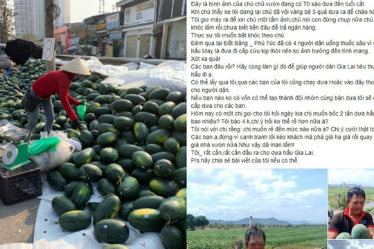 Sự thật về thông tin "4 người tự tử vì giá dưa hấu rẻ" trên mạng xã hội