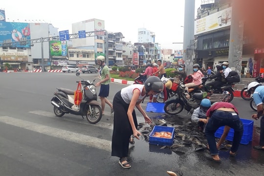 Clip: Hai người nước ngoài giúp đỡ xe chở cá bị đổ giữa đường