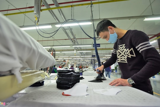 Doanh nghiệp Việt xoay xở ra sao trong dịch nCoV?