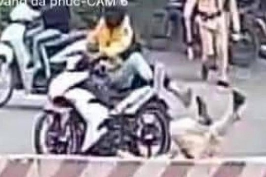 Danh tính đôi nam nữ vượt đèn đỏ, tông gục CSGT trên QL32: Đủ căn cứ có thể xử lý về tội Giết người