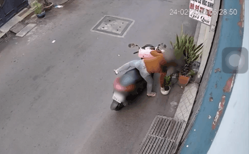 Clip: Cô gái trộm chậu cây rồi bỏ chạy bị dân mạng "ném đá"
