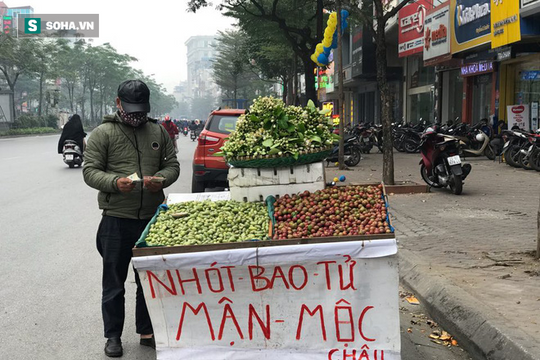 Thu về tiền triệu mỗi ngày nhờ bán rong quả xanh đầu mùa