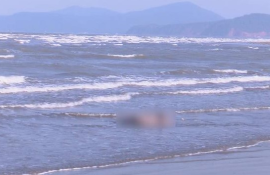 Tìm thấy thi thể du khách Hà Nội bị đuối nước khi tắm biển ở Phú Yên