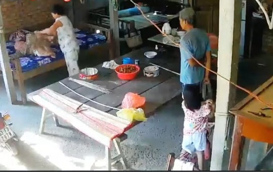 Con trai và con dâu ngược đãi mẹ già 88 tuổi có thể bị xử phạt đến 5 năm tù