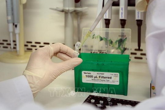 Thêm 55 mẫu xét nghiệm virus SARS-CoV-2 của Lào Cai có kết quả âm tính