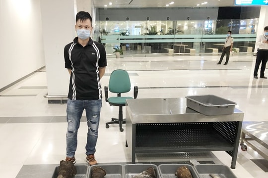 Khởi tố thanh niên vận chuyển gần 29kg sừng tê giác từ Hàn Quốc về  Việt Nam