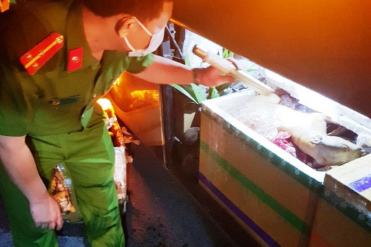 Phát hiện, thu giữ 3 tạ nội tạng bốc mùi hôi thối trên xe khách