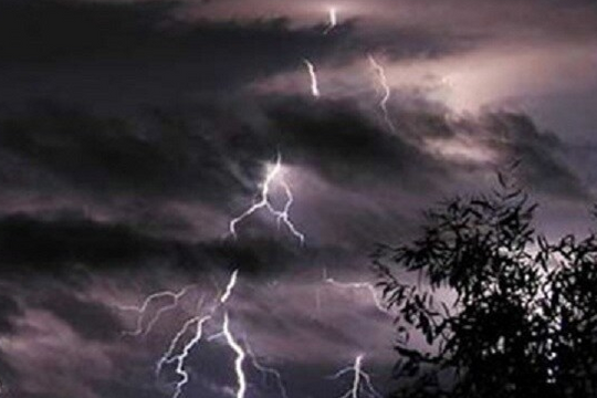 Trú mưa dưới gốc cây, hai cha con bị sét đánh thương vong