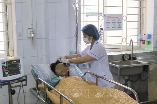 Ăn phải nấm độc, một người tử vong, một người nguy kịch