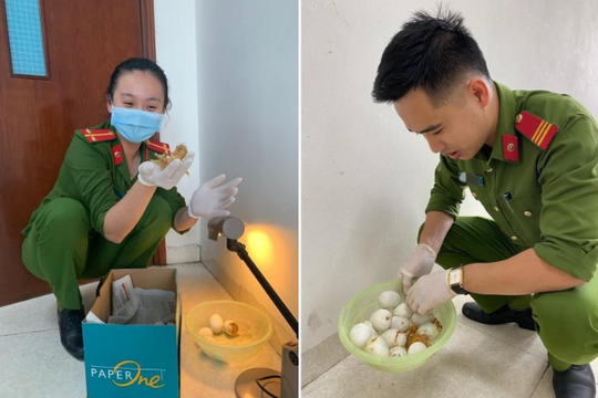 Loạt ảnh những chú vịt con chào đời trong chốt kiểm soát dịch bệnh COVID-19 gây sốt CĐM