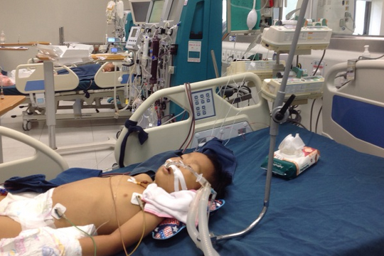 Tính mạng mong manh của cả gia đình nghèo bị ngộ độc nấm rừng