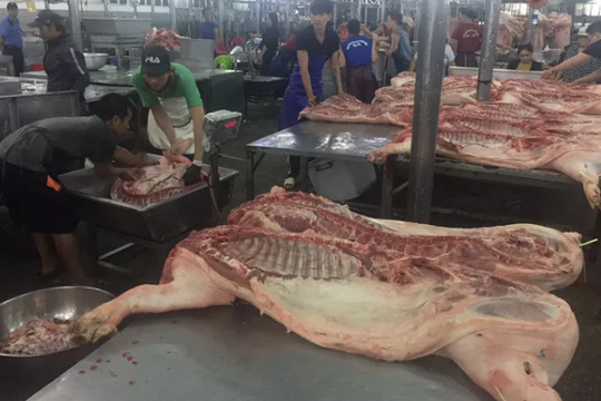 Giá heo hơi tiếp tục tăng mạnh lên đến 90.000 đồng/kg