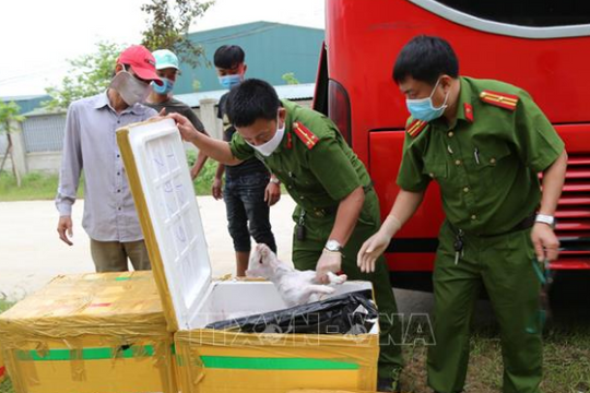 Bắt giữ xe khách vận chuyển 2,4 tấn sản phẩm động vật và nội tạng bốc mùi hôi thối