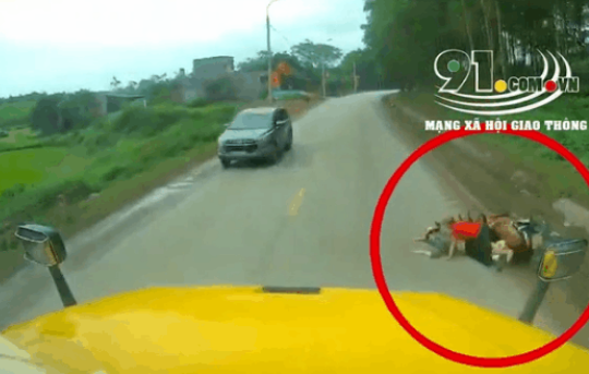 Clip: Pha đánh lái kịp thời của tài xế cứu 3 mẹ con khỏi tai nạn kinh hoàng