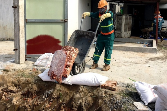 Tiêu hủy 72 tấn nội tạng động vật không rõ nguồn gốc
