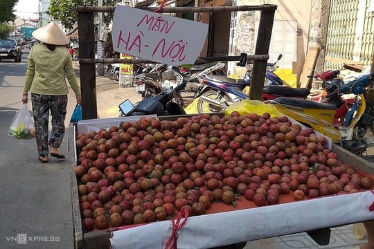 Giá mận hậu miền Bắc giảm một nửa vì COVID-19 vẫn kém khách