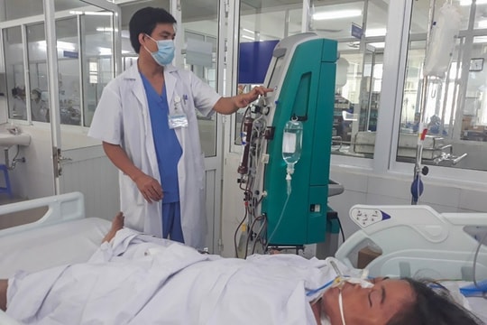 Ăn nhầm nấm độc, 3 người nhập viện cấp cứu