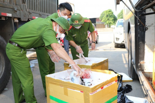 Phát hiện xe khách chở 800 kg thịt chó và nội tạng bốc mùi