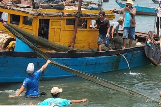 Tìm thấy 5 thi thể trong vụ lật thuyền trên sông Thu Bồn