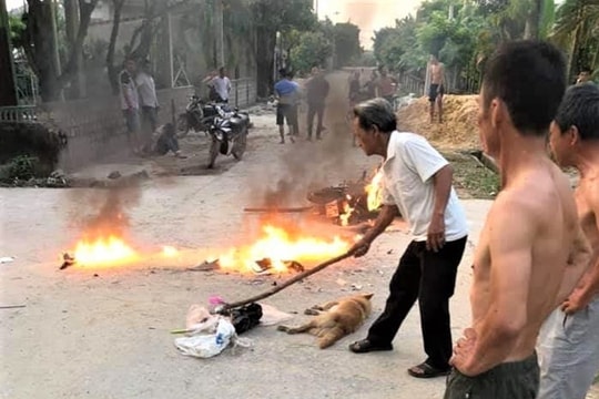 Trộm chó bị phát hiện, "cẩu tặc" dùng dao chém người trọng thương