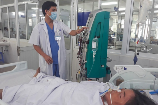 Ngộ độc nấm rừng, 3 người trong một gia đình tử vong