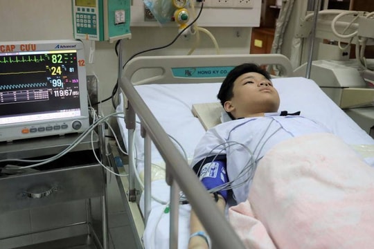 Vụ học sinh bị cây phượng bật gốc đè tử vong ở sân trường, ai sẽ bồi thường?