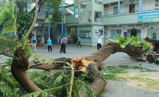 Không có gì quý hơn sinh mạng con người